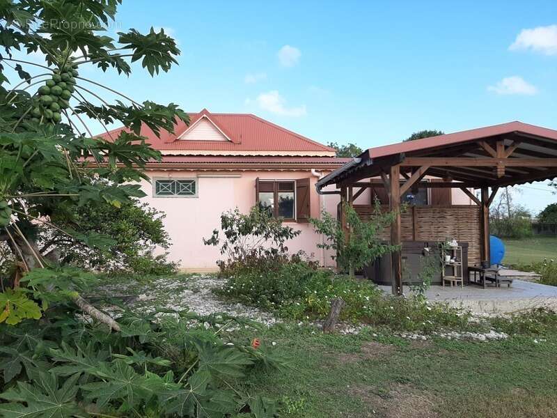 Dpt Guadeloupe (971), à vendre SAINT FRANCOIS maison P5 de 134,03 m² - Terrain de 8 528,00 m² - Plain pied - photo 2