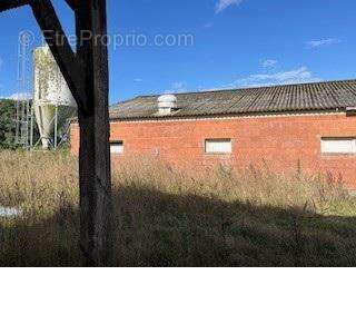 Maison située en campagne - photo 4