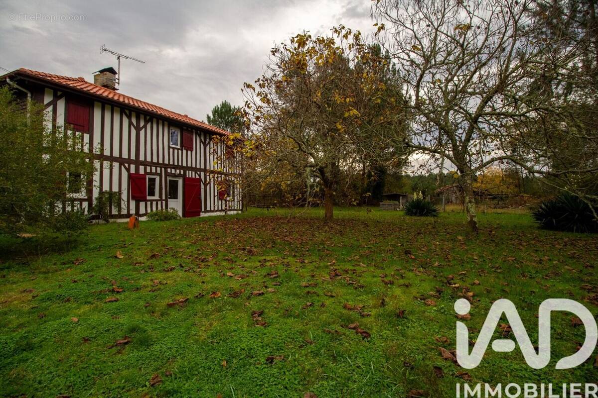 Photo 1 - Maison à LEVIGNACQ