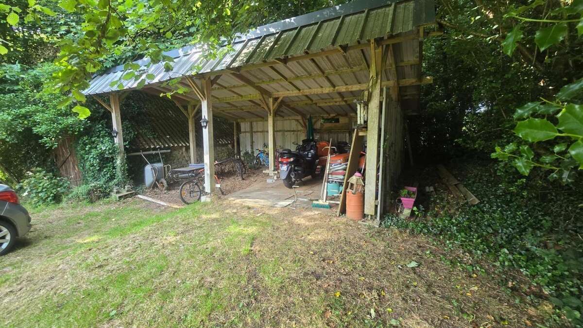Au cœur de la forêt - photo 14