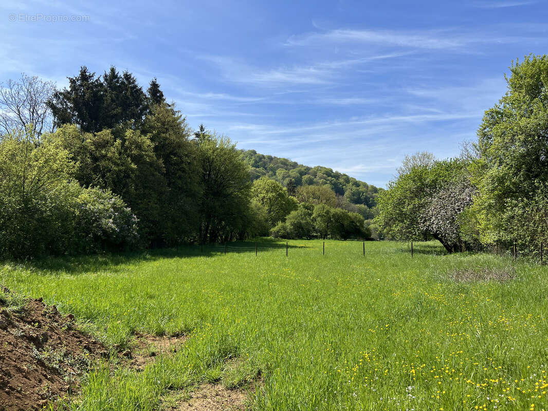 Terrain à VIVIERS-SUR-CHIERS