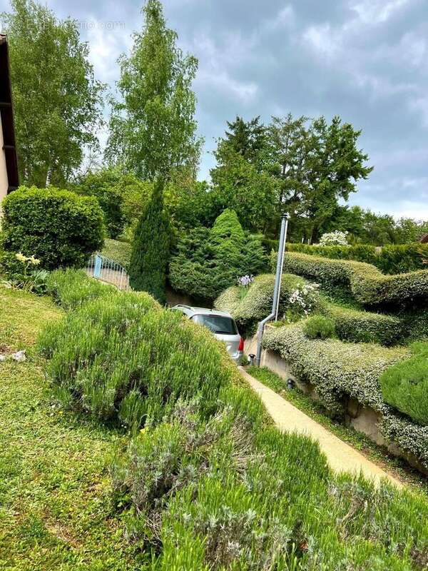 Photo 6 - Maison à VILLENEUVE-SUR-YONNE