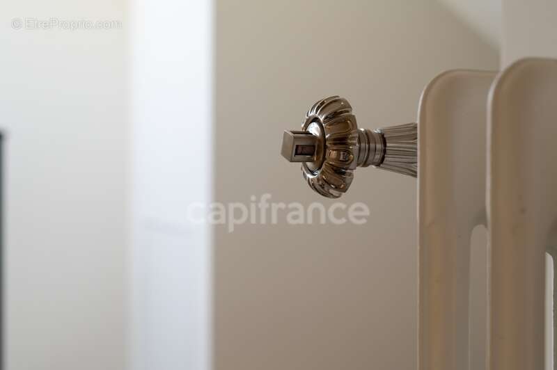 Maison bourgeoise 255 m² entièrement rénovée, parc clos et arboré de 4 303 m² (piscinable), 3 garages, terrasse, jacuzzi - photo 66