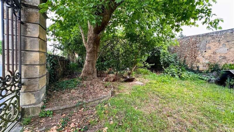 Hôtel particulier avec dépendance à vendre – Bergerac centre – 350 m² habitables - photo 4