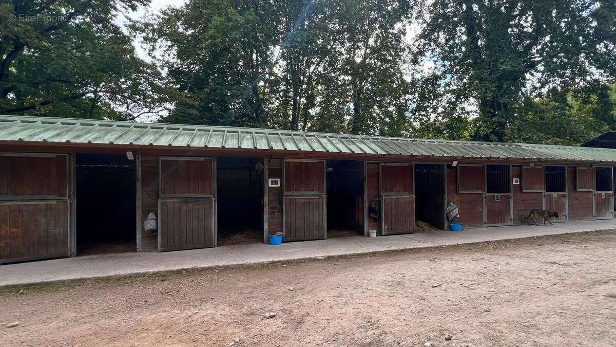 Photo 7 - Maison à CASTELNAUDARY