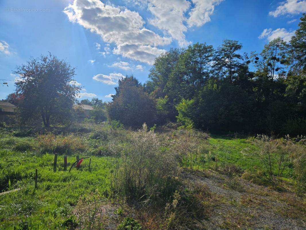 Terrain à MARTILLAC