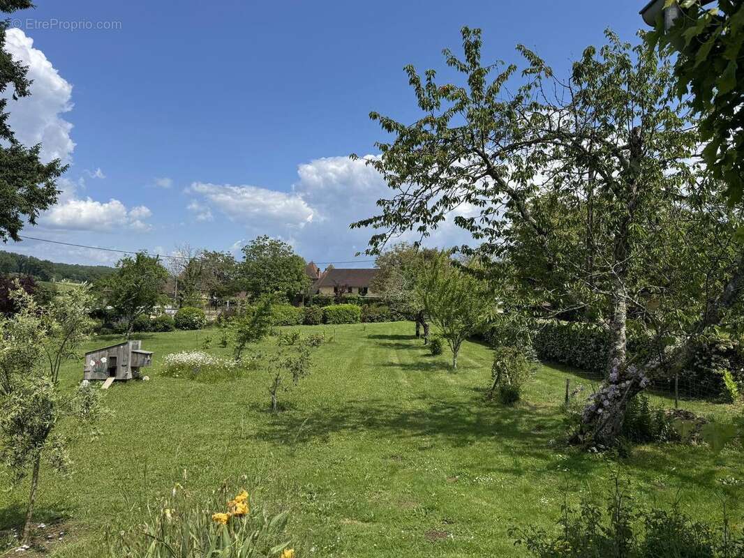 IMG2867 - Maison à SAINT-CYPRIEN