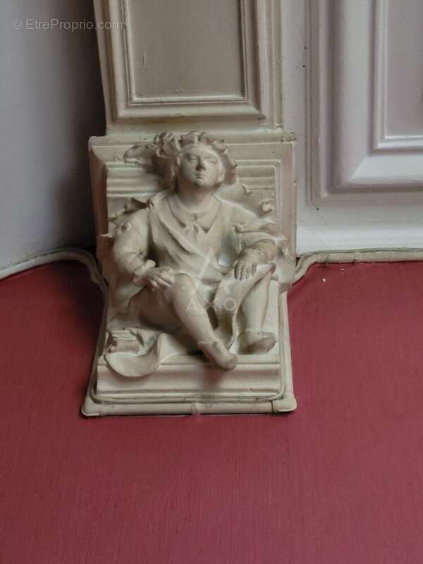 Maison Bourgeoise de Caractère  Douai Centre - photo 10