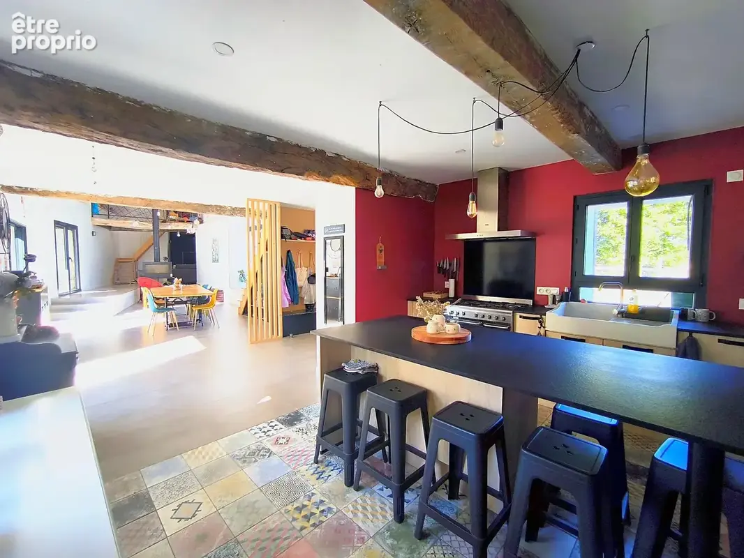 FERME d'exception aux confins de l'ancienne principauté des Dombes - photo 20