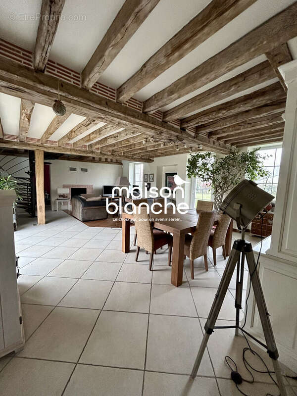 Maison à PELLOUAILLES-LES-VIGNES