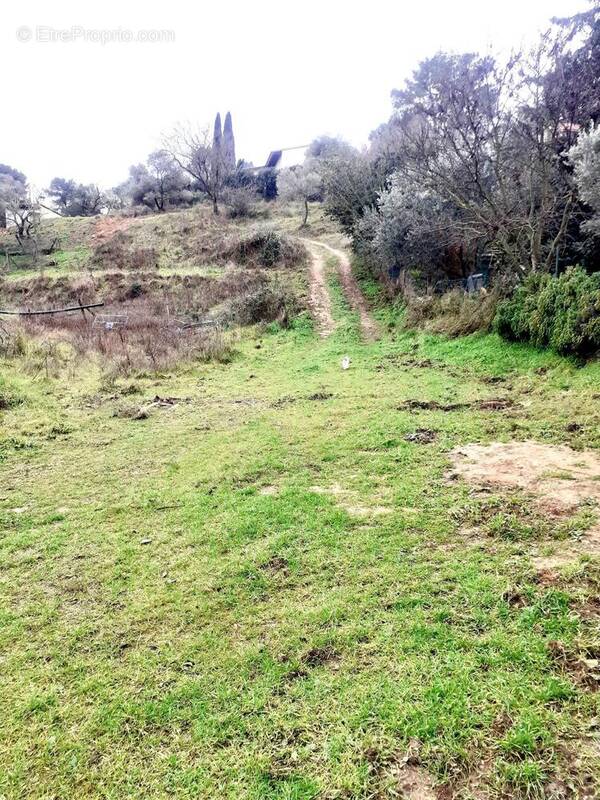 Photo 1 - Terrain à PEYPIN