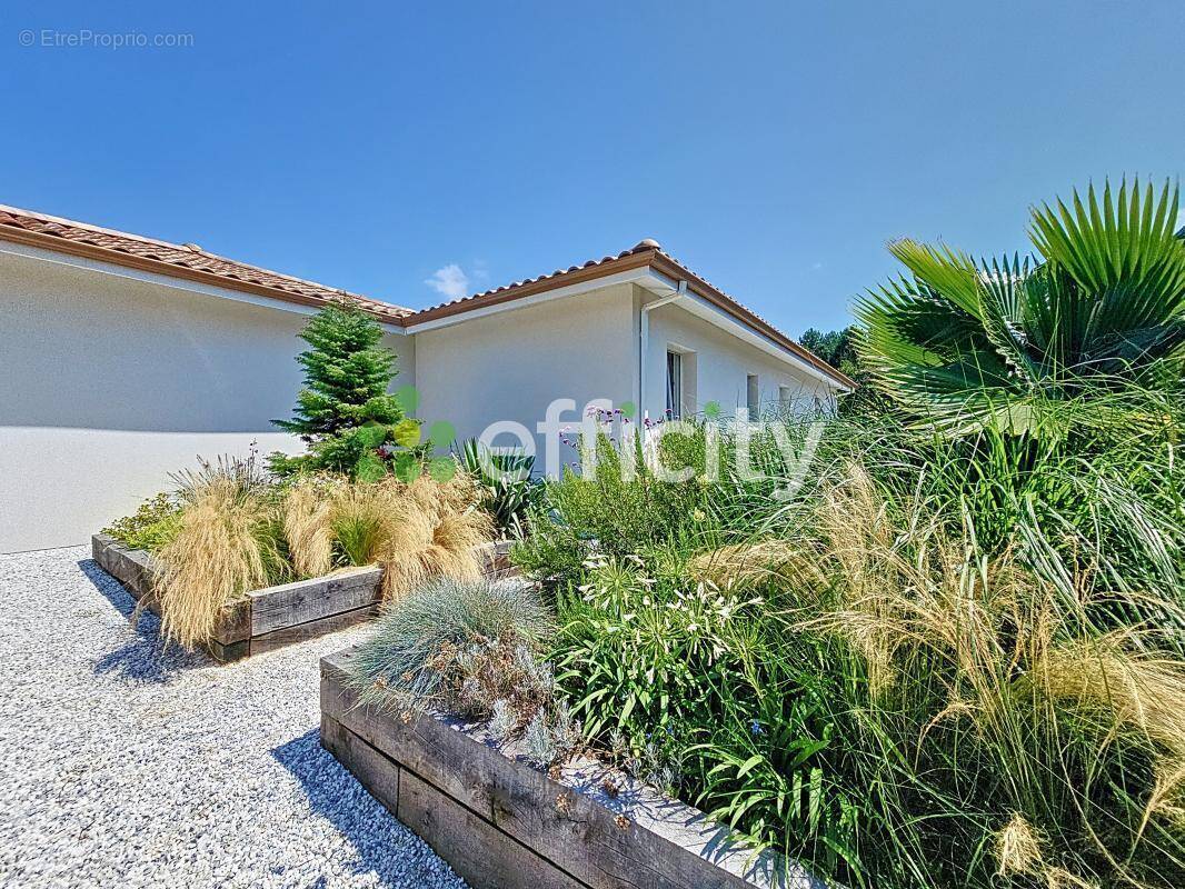 Maison à SANGUINET