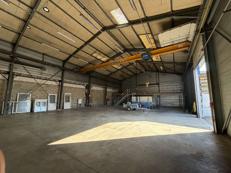 Dpt Yonne (89), à vendre Entrepôts loués : artisanal commercial stockage - investisseur - photo 3