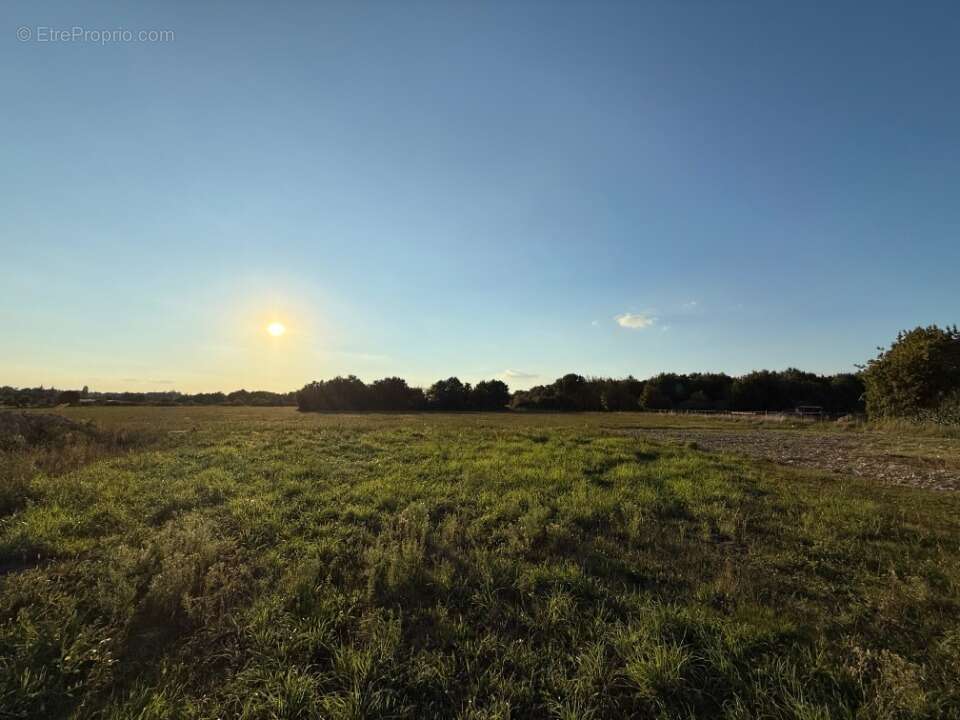 Terrain à SAVONNIERES