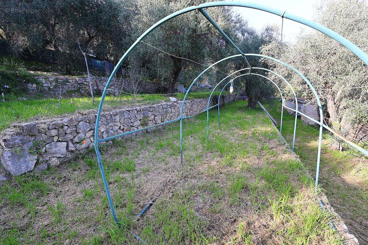 Terrain à SPERACEDES