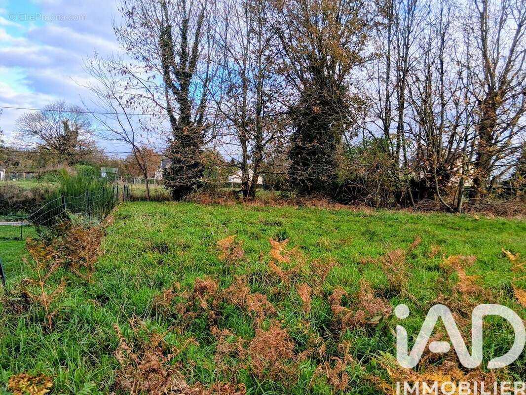 Photo 2 - Terrain à SAINT-VINCENT-SUR-OUST