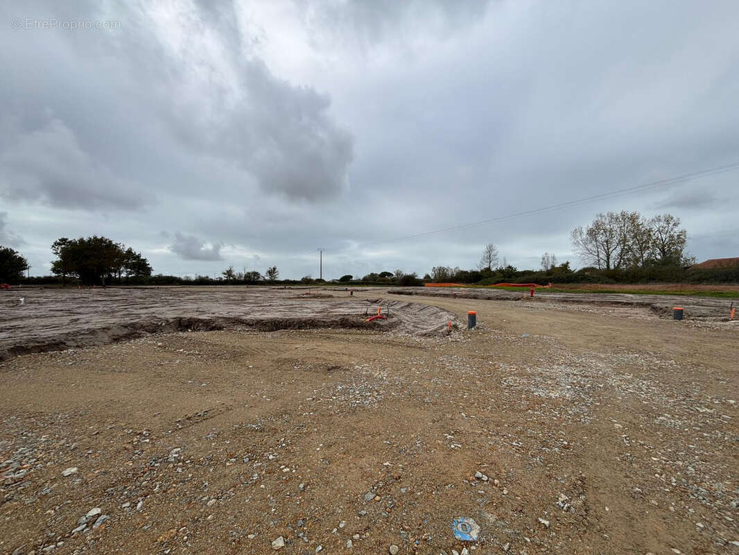 Terrain à SALLERTAINE