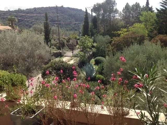 Maison à SAINT-AMBROIX