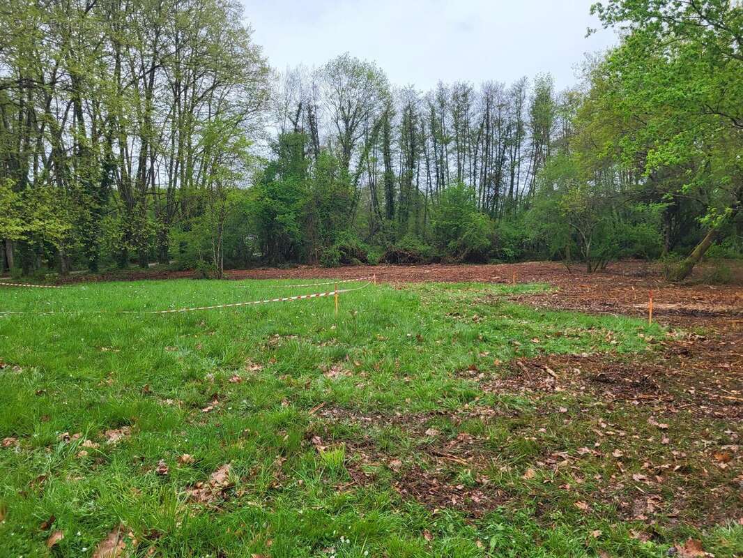 Photo 2 - Terrain à MARTILLAC