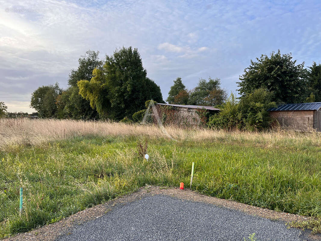 Terrain à LA MENITRE