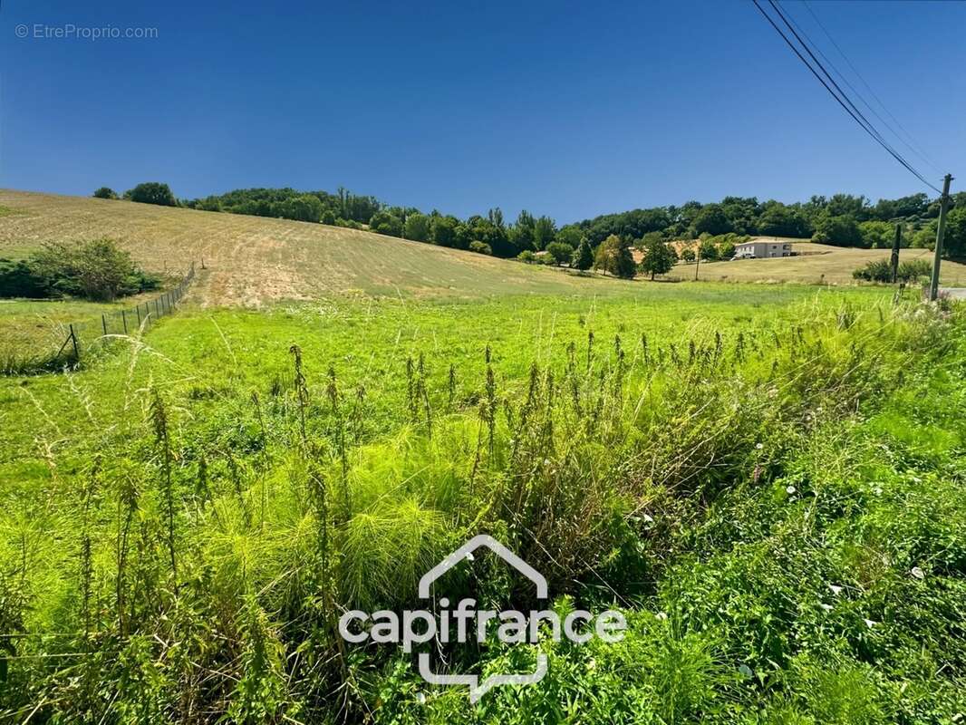 Terrain à vendre  saint caprais de lerm (47) - photo 7