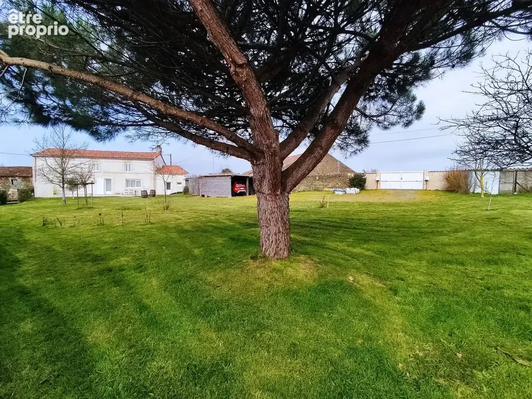 TERRAIN AVEC MAISON AU FOND