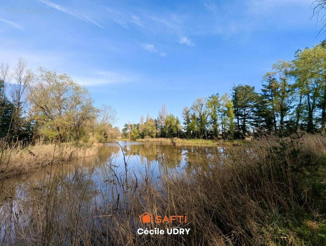 Photo 3 - Terrain à ATHEE-SUR-CHER