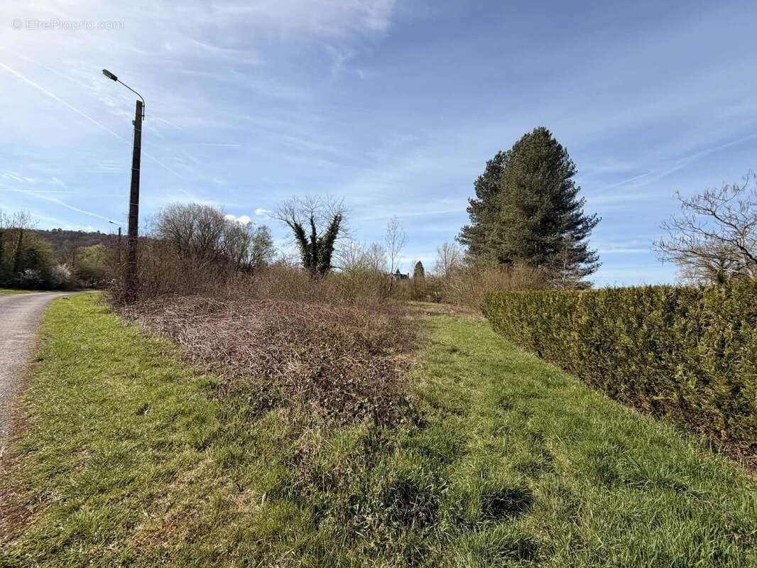 Beaucoup de potentiel - Terrain à BRUYERES-ET-MONTBERAULT