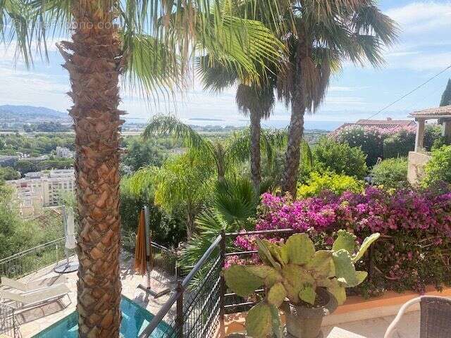 Maison à MANDELIEU-LA-NAPOULE