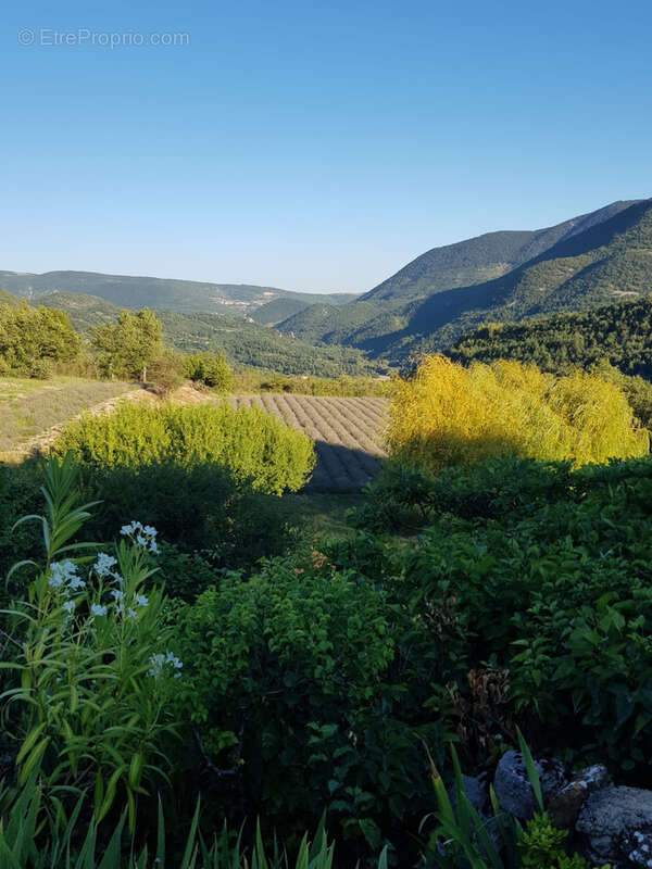Maison à VAISON-LA-ROMAINE