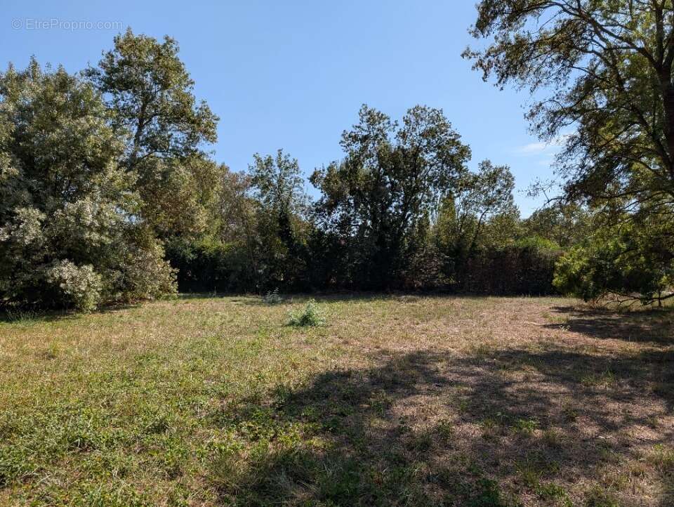 Terrain à CHATEAUNEUF-GRASSE