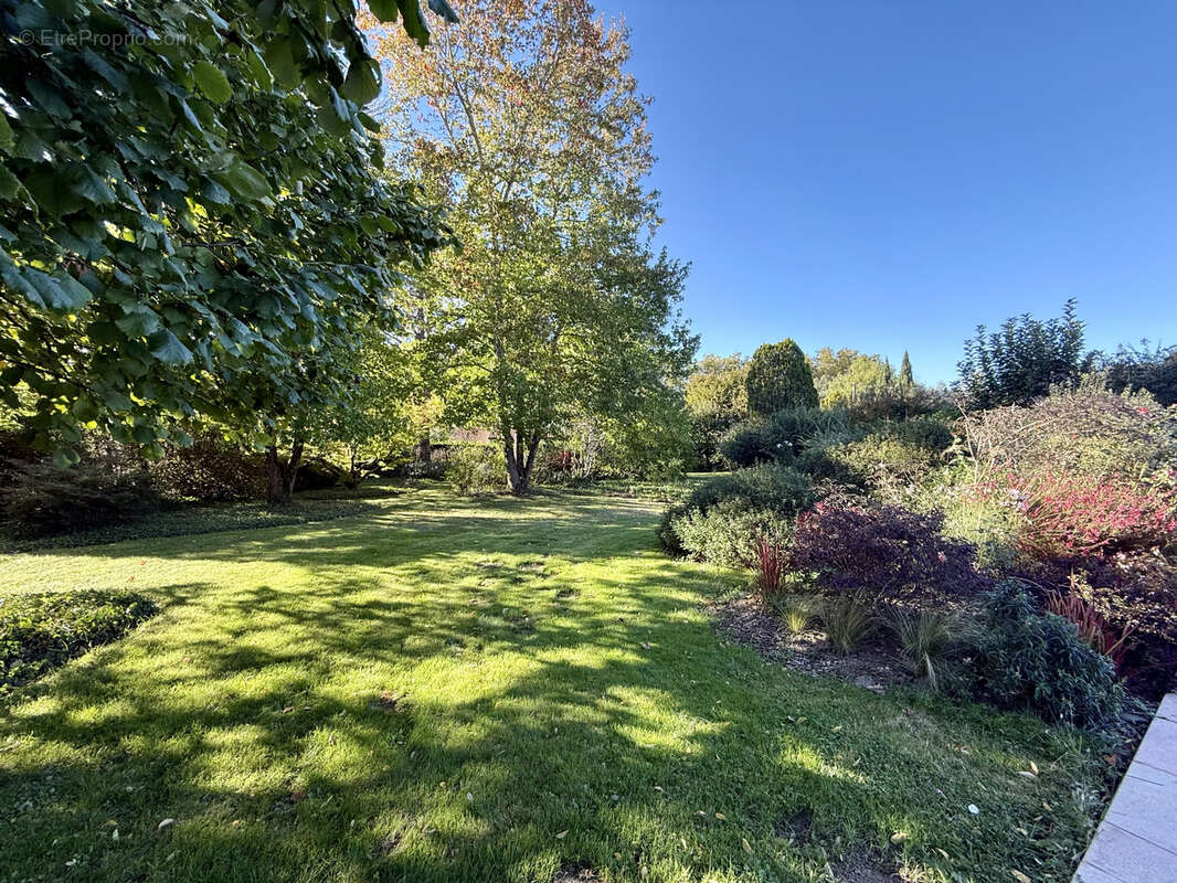 Maison à MONTAIGUT-SUR-SAVE