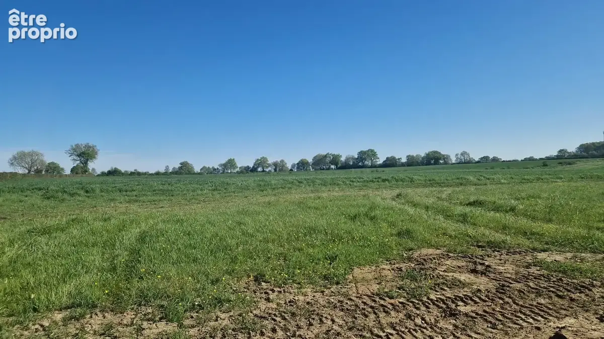 Terrain à TAUXIGNY