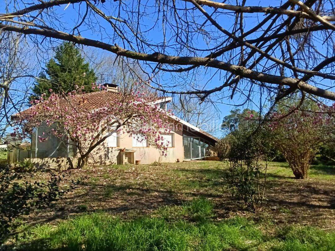 Maison à PEYREHORADE