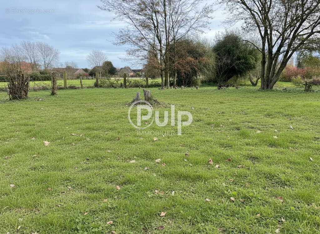 Terrain à STEENWERCK