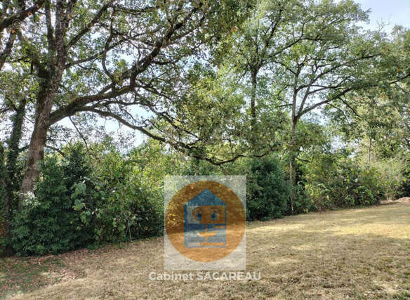 Maison de village T3, 75 m² hab. sur 2245 m² de terrain - photo 10