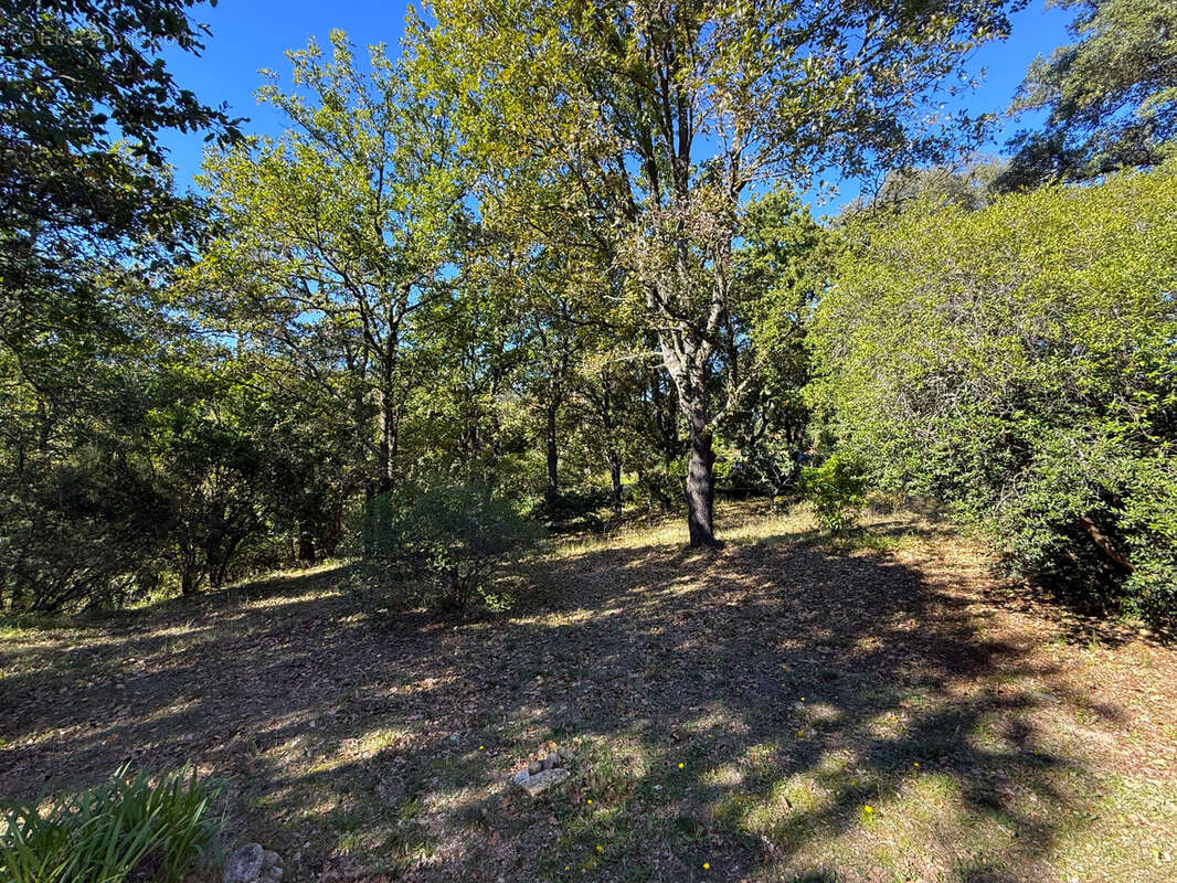 Maison à PRUNELLI-DI-FIUMORBO