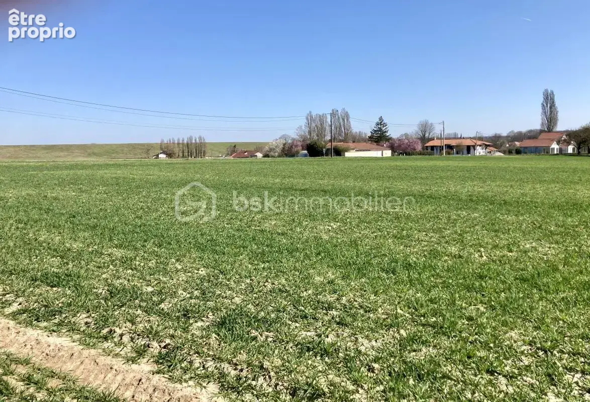 terrain 1017m² constructible - au pied de la digue de Giffaumont - photo 2