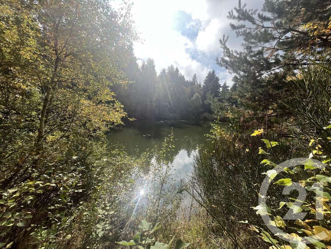 Terrain à BURDIGNES