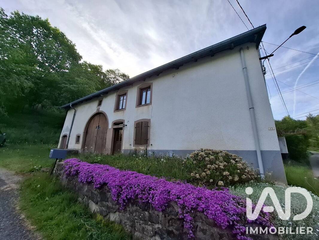 Photo 1 - Maison à LA CROIX-AUX-MINES
