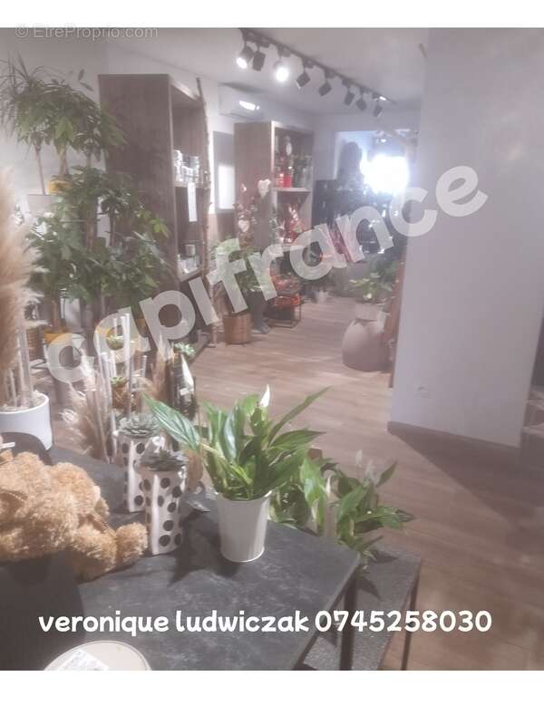 Commerce à SAINT-AMAND-LES-EAUX