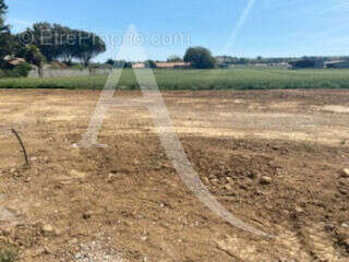Terrain Longeville Sur Mer 500 m2 - photo 3