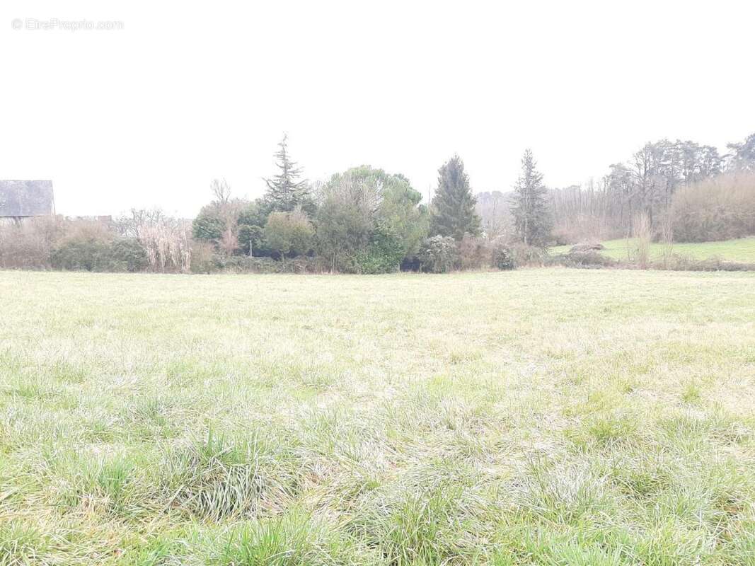 Terrain à NEUIL