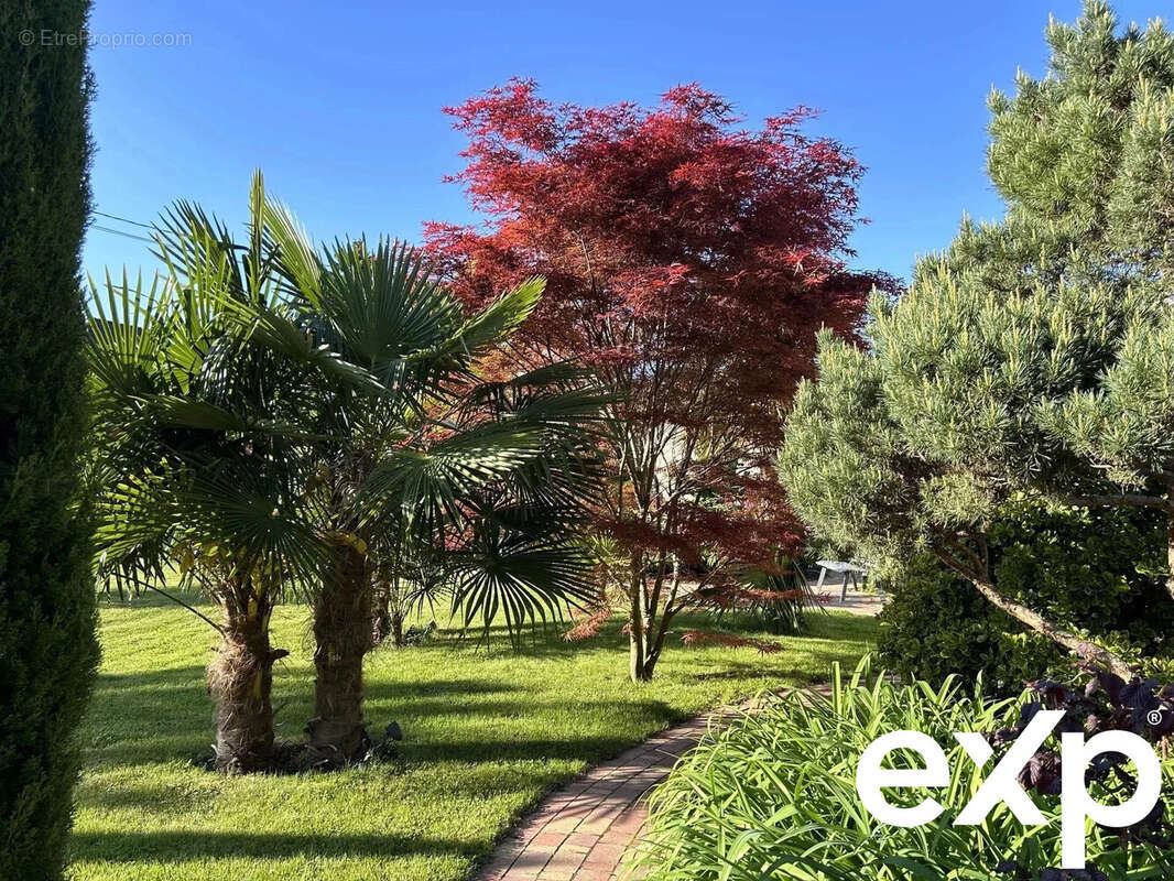 Maison à LA WANTZENAU