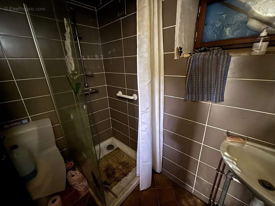 Salle d'eau - Maison à TREMOUILLE