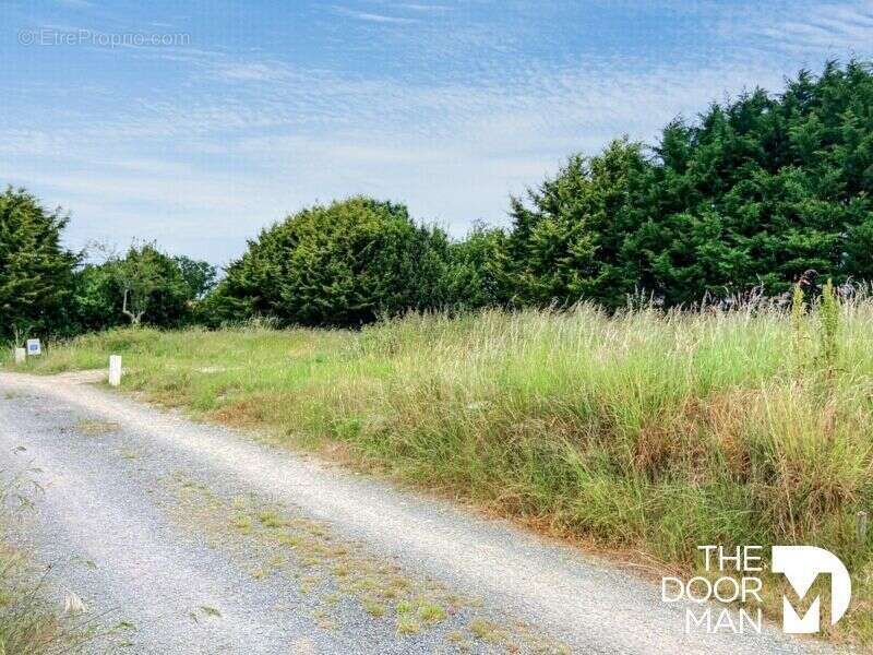 Terrain à MAUVES-SUR-LOIRE
