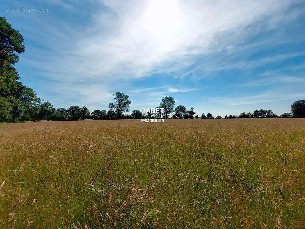 Terrain à LA HAYE-PESNEL