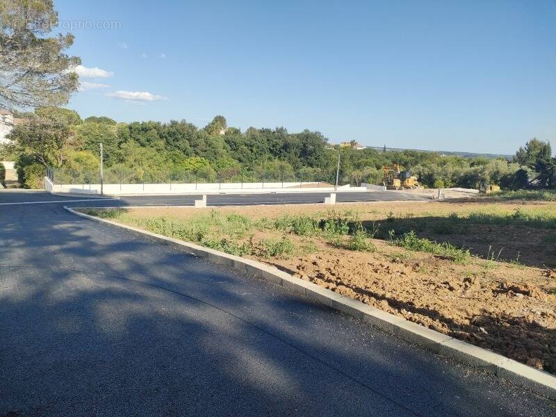 Terrain à MUS