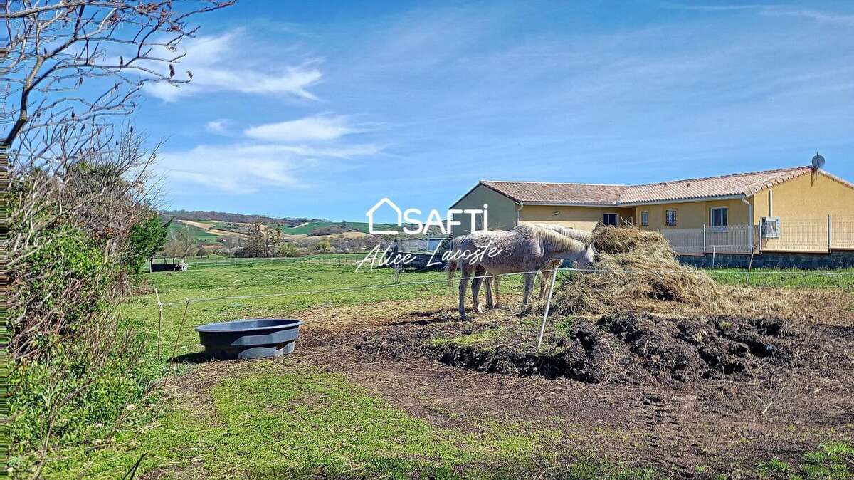 Photo 3 - Terrain à SAINT-SULPICE-SUR-LEZE