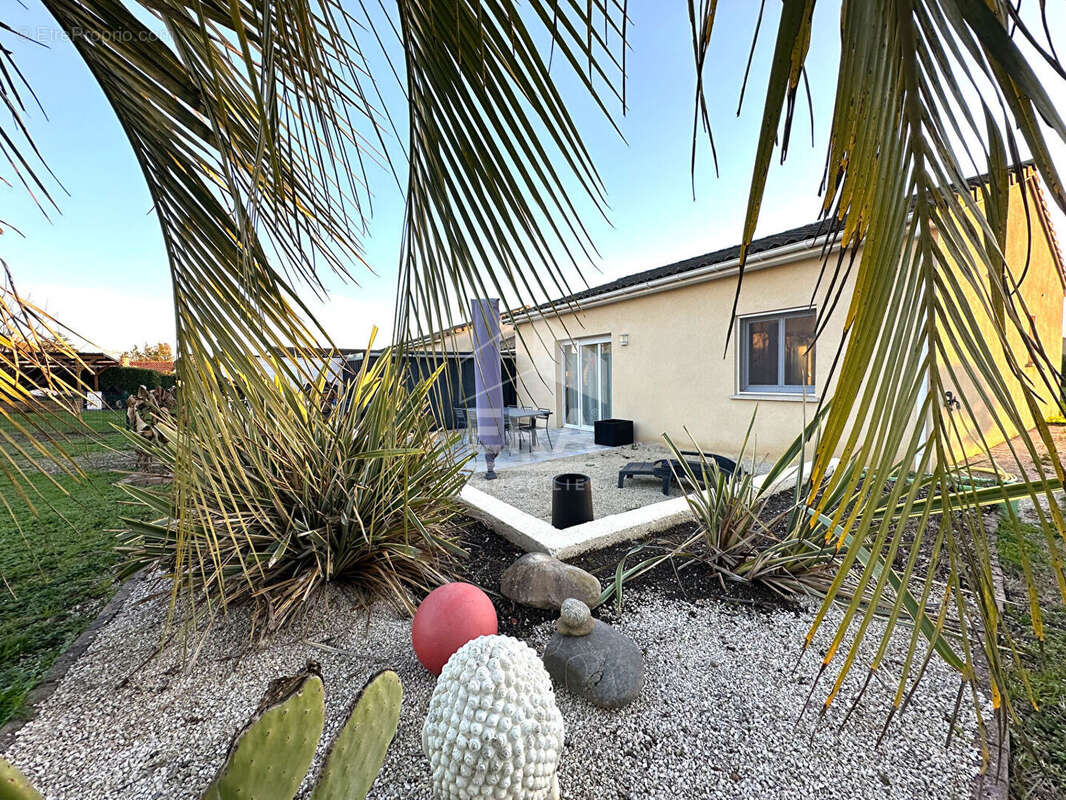 Maison à SAINT-SULPICE